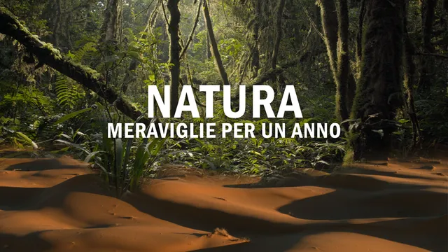 Natura - Meraviglie per un anno