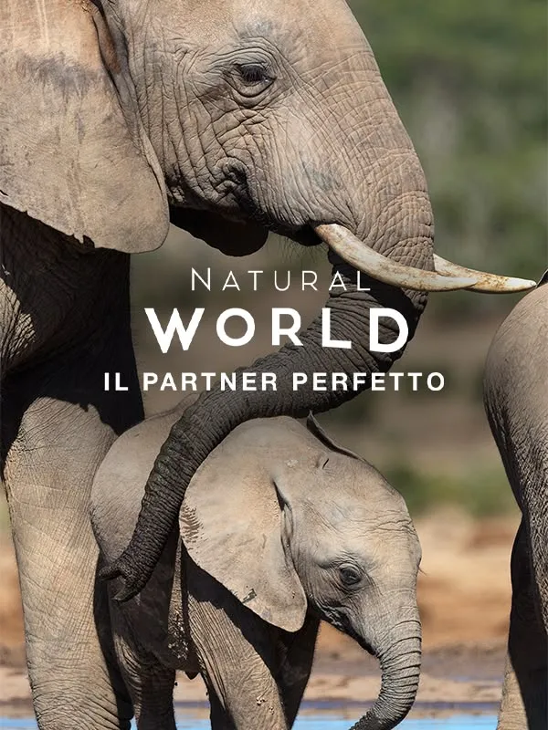 Natural World: Il partner perfetto