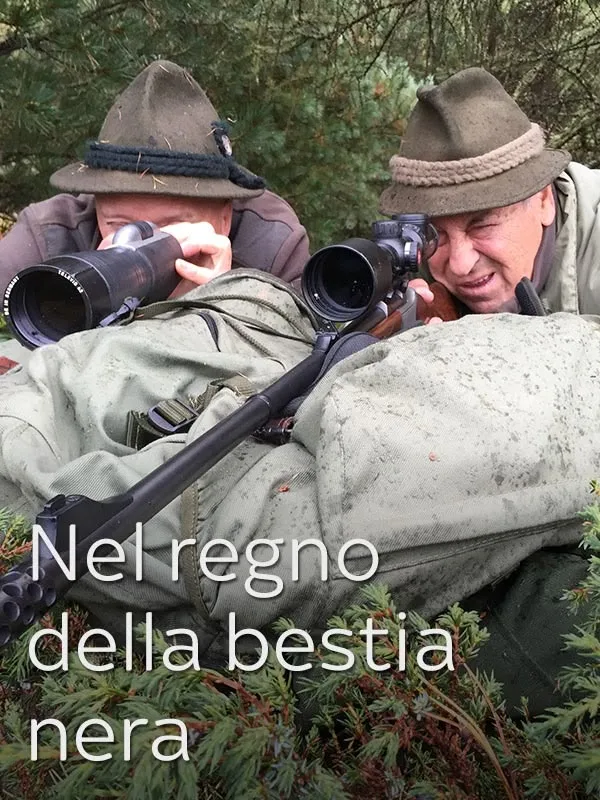 Nel regno della bestia nera 1