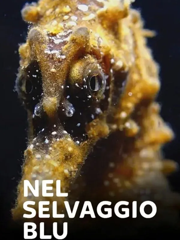 Nel selvaggio blu