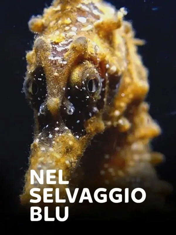Nel selvaggio blu
