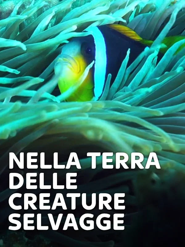 Nella terra delle creature selvagge