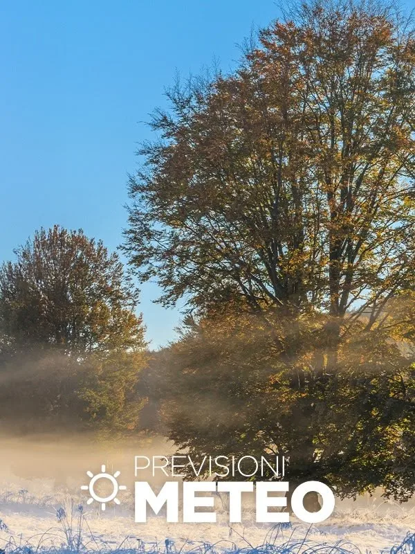 Omnibus Meteo