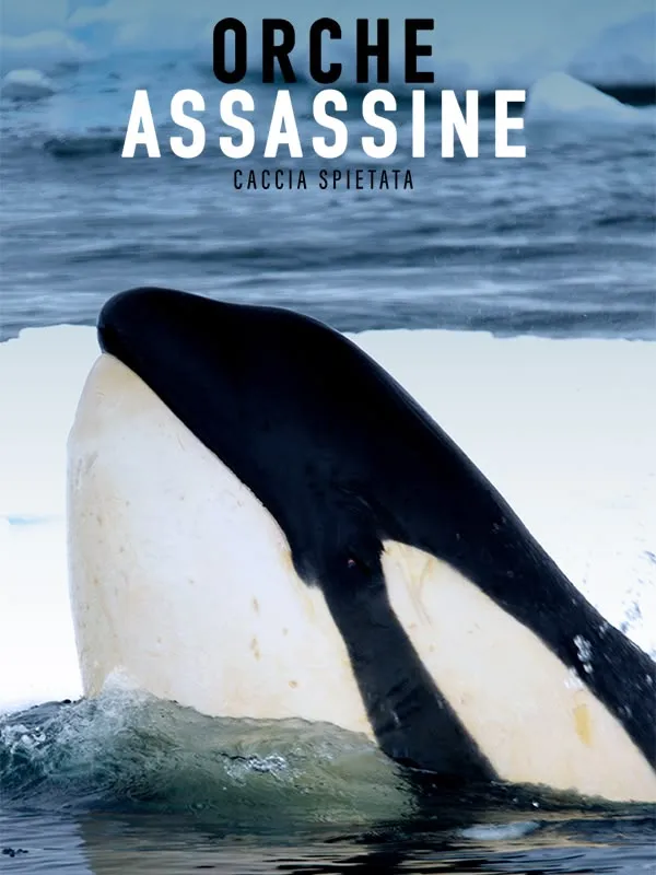 Orche assassine: Caccia spietata