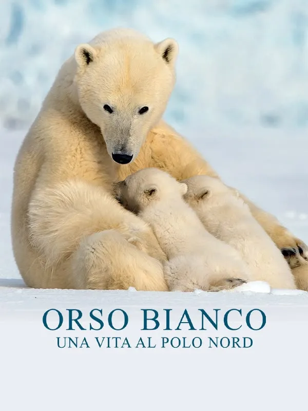 Orso Bianco - Una Vita Al Polo Nord