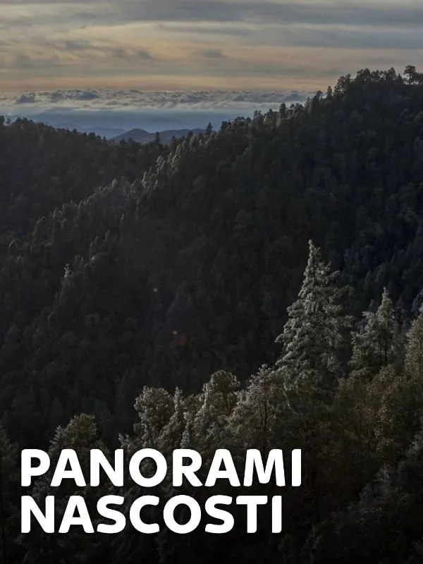 Panorami nascosti