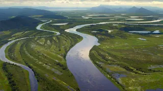 Paradisi da salvare - Pantanal, il Brasile Selvaggio