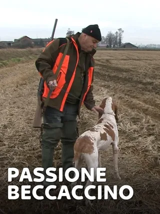 Passione Beccaccino 1