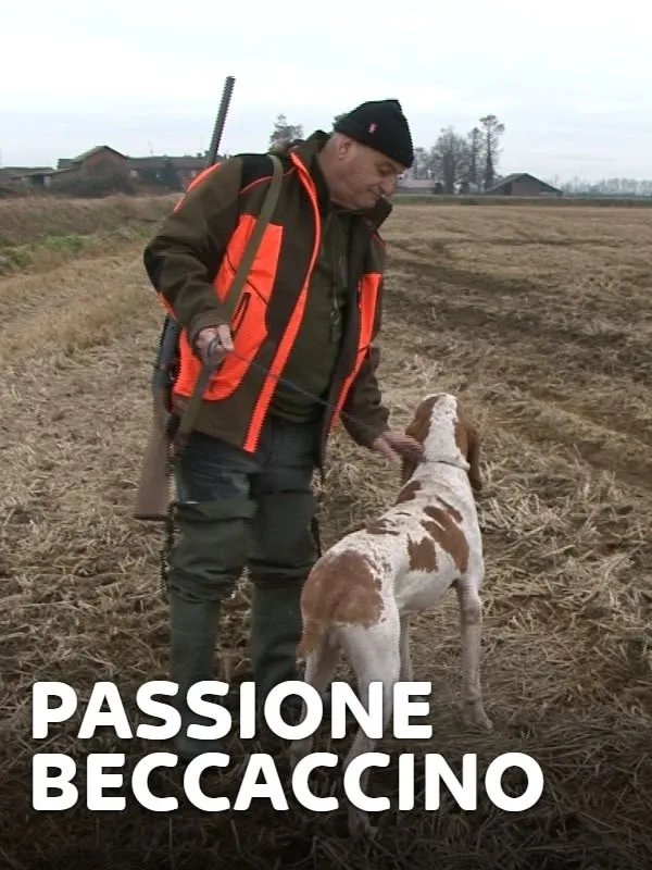 Passione Beccaccino 1