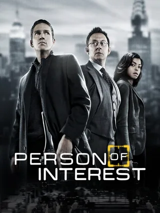 Person of Interest