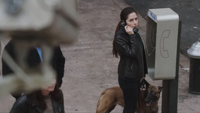 Person of Interest