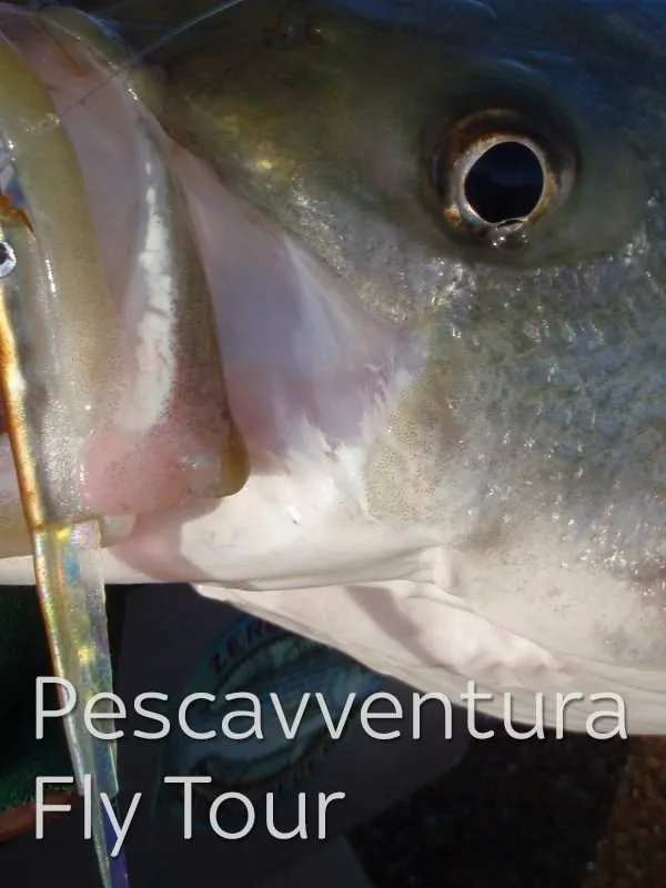 Pescavventura Fly Tour 1