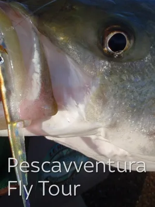 Pescavventura Fly Tour 1