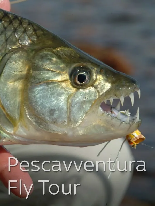 Pescavventura Fly Tour 2