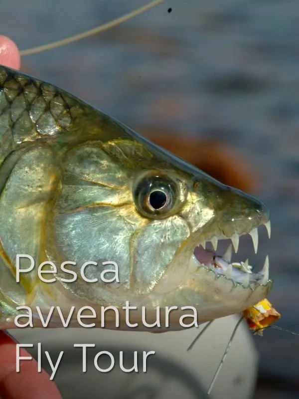 Pescavventura Fly Tour 2