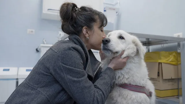 Pet Anatomy - Le tante vite di Kalì - pt5