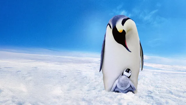 Pinguini Una spia nel gruppo