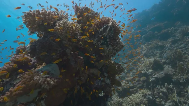 Planet Earth III - Le meraviglie della natura