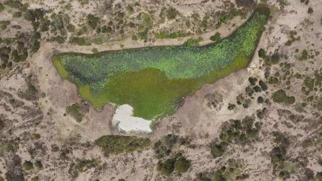Planet Earth III - Le meraviglie della natura