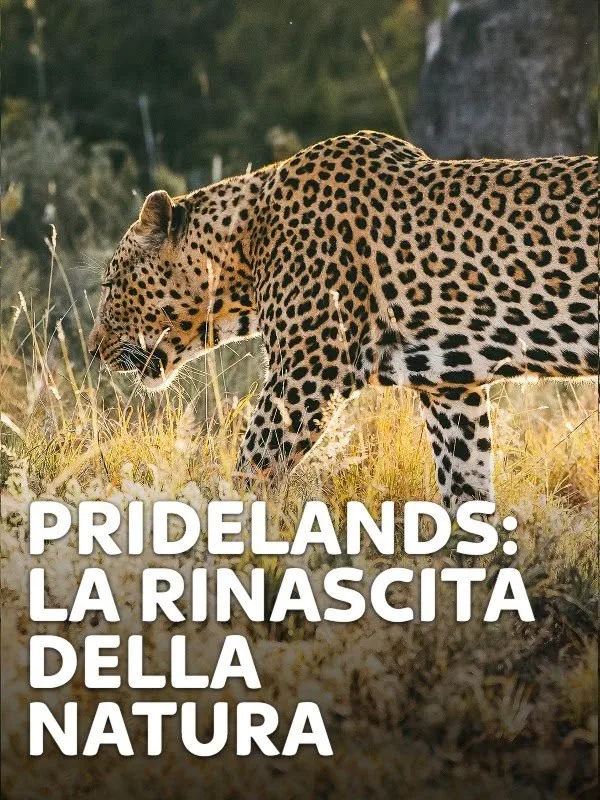 Pridelands: la rinascita della natura