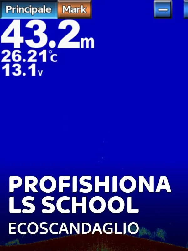 Profishionals School: Ecoscandaglio 1