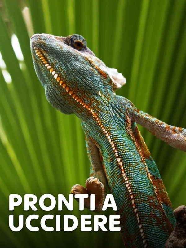 Pronti a uccidere