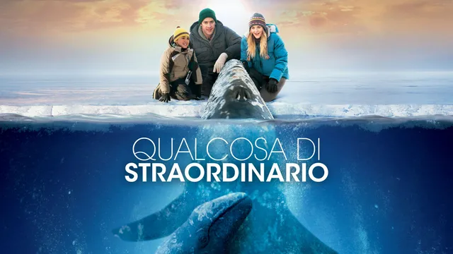 Qualcosa di straordinario