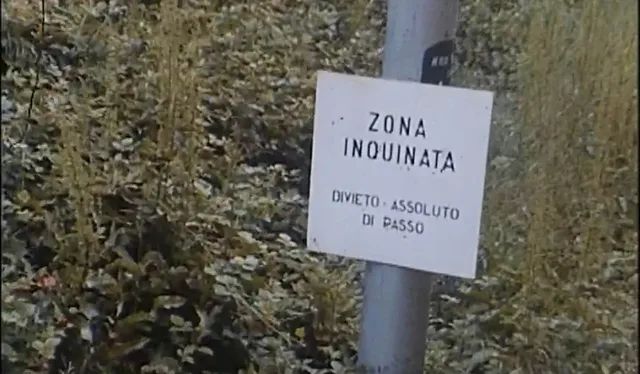 RAInchieste - pt6 - 1976: I limiti dello sviluppo prima e dopo Seveso