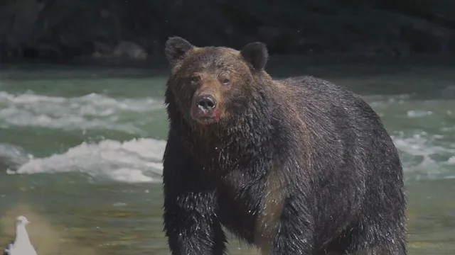 Santuari della natura