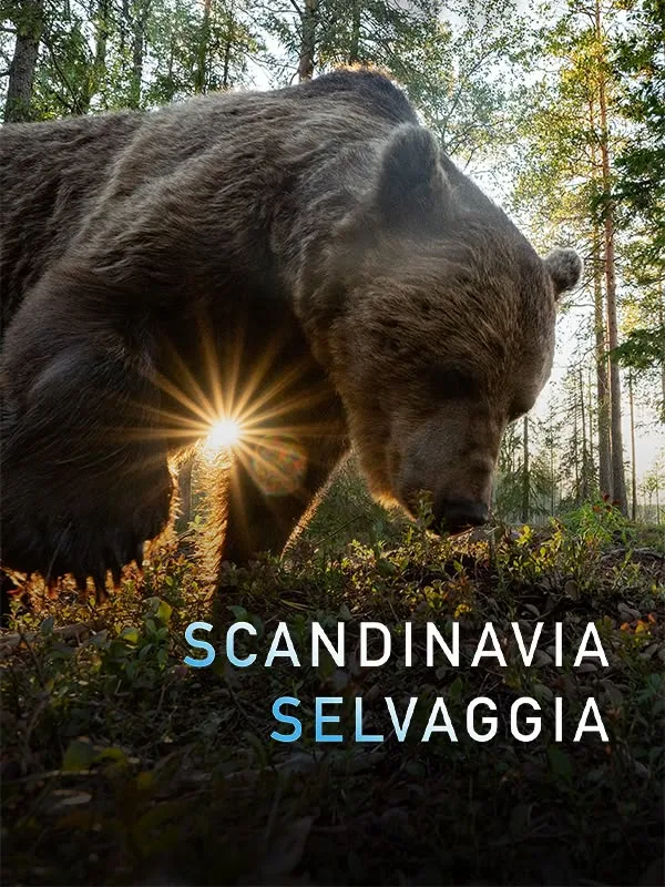 Scandinavia selvaggia