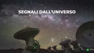 Segnali dall'universo '26