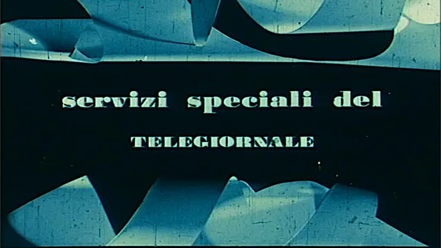 Servizi speciali del telegiornale - Montanelli a Firenze
