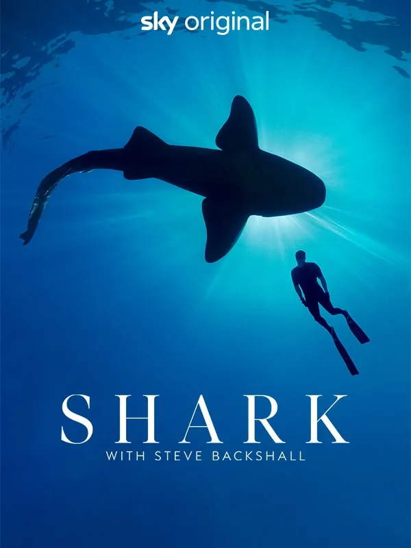 Shark with Steve Backshall