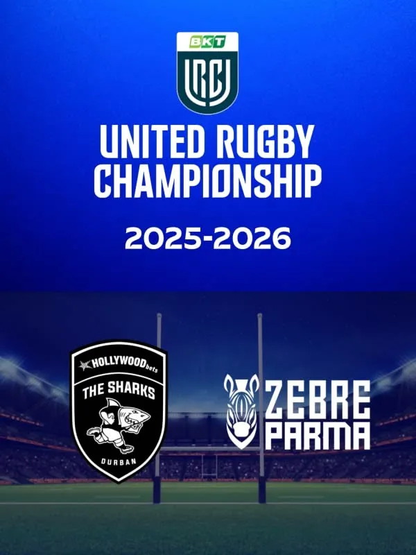 Sharks - Zebre