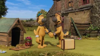 Shaun vita da pecora