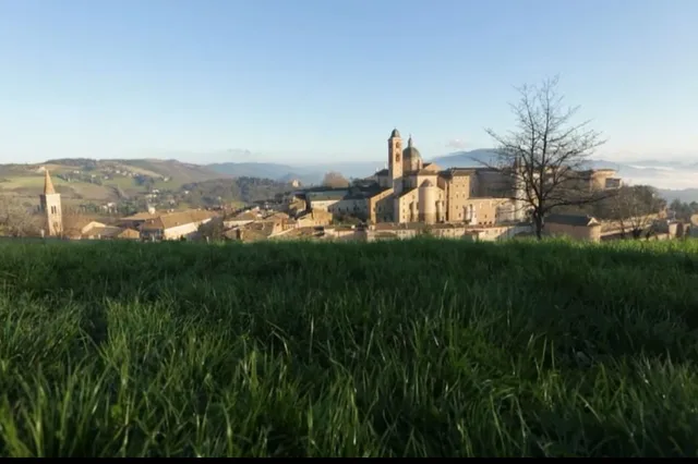 Signorie