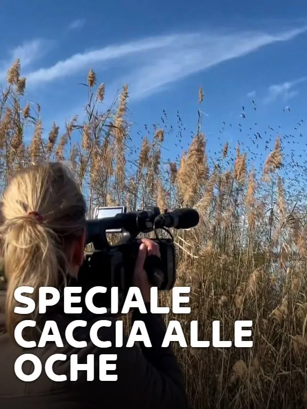 Speciale caccia alle oche 1