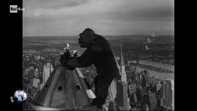 Speciale Wonderland - King Kong