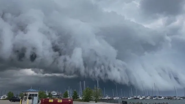 Stranezze di questo mondo