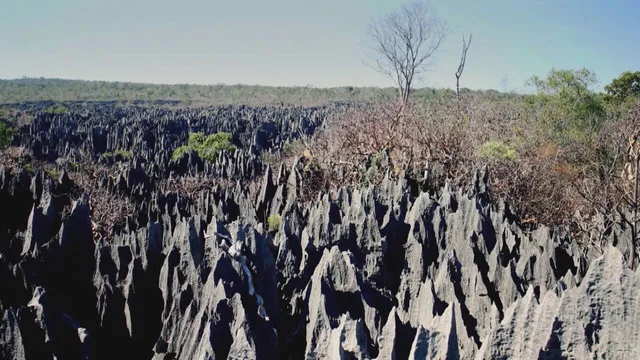 Stranezze di questo mondo
