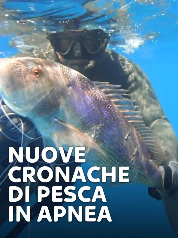 Sulle tracce della lepre