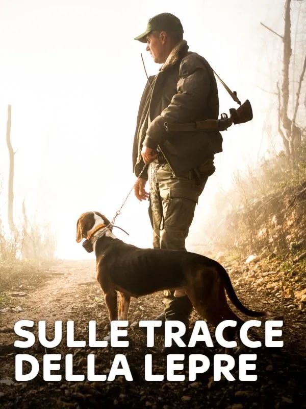 Sulle tracce della lepre