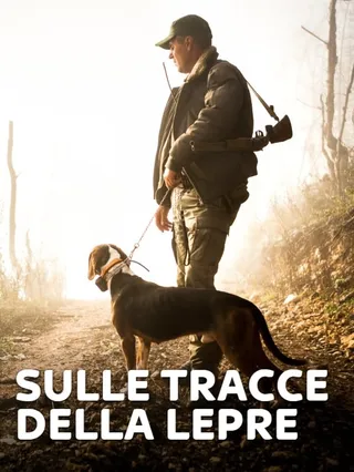 Sulle tracce della lepre
