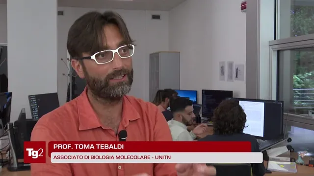 Tg2 Medicina 33 del
