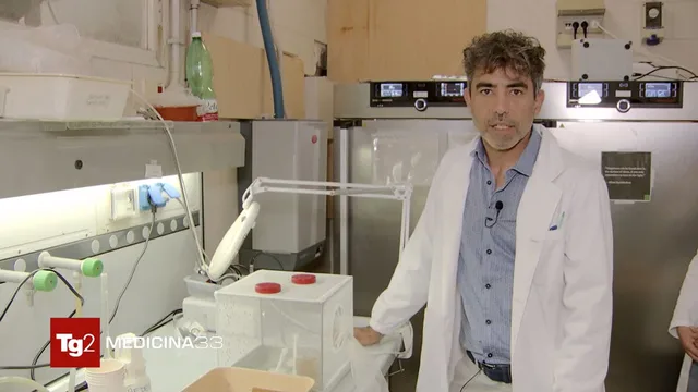 Tg2 Medicina 33 del