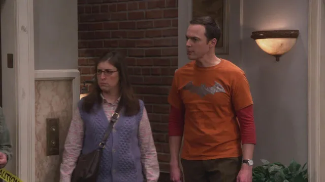 THE BIG BANG THEORY