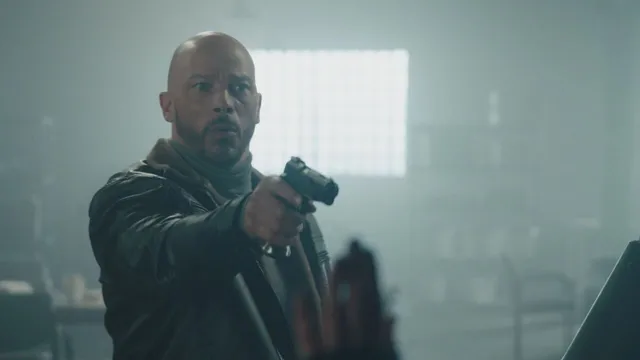 The Equalizer