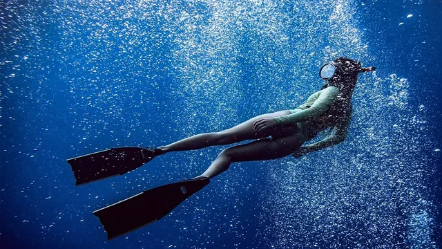 The Reef - Intrappolate