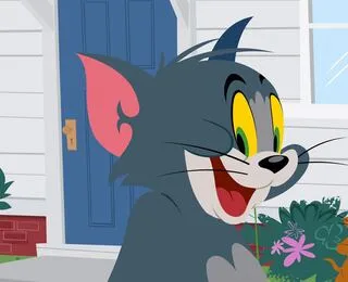 The Tom And Jerry Show