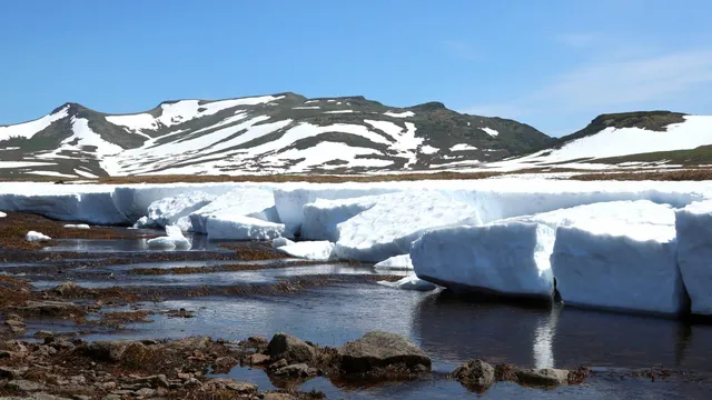 Tundra
